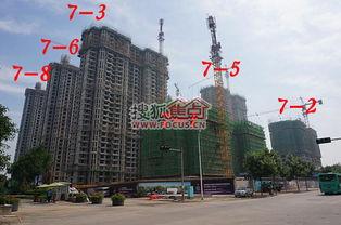 石家庄天苑爆料案件最新,揭秘背后惊人真相  第2张